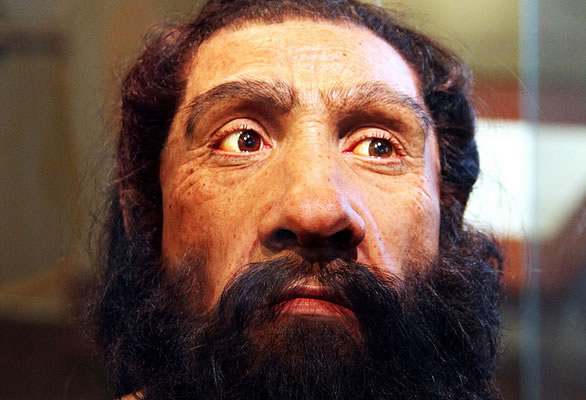 Reconstruction of a Neanderthal man