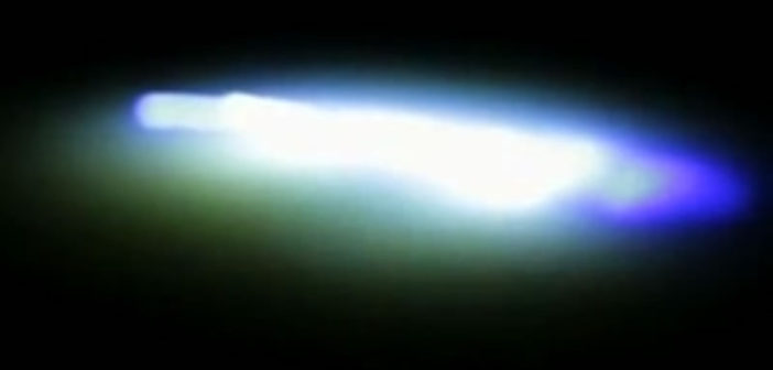 Mystery glowing creature spotted in Bristol harbour