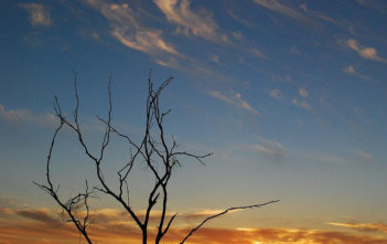 New South Wales, Australia