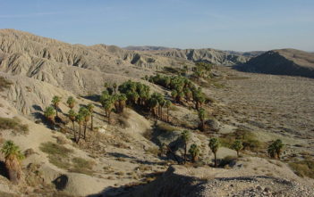 Coachella Valley Preserve