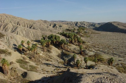 Coachella Valley Preserve