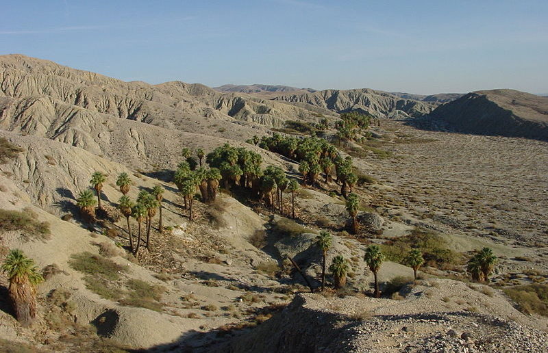 Coachella Valley Preserve