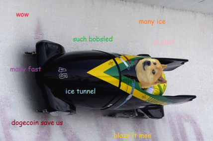 Doge Jamaican bobsled