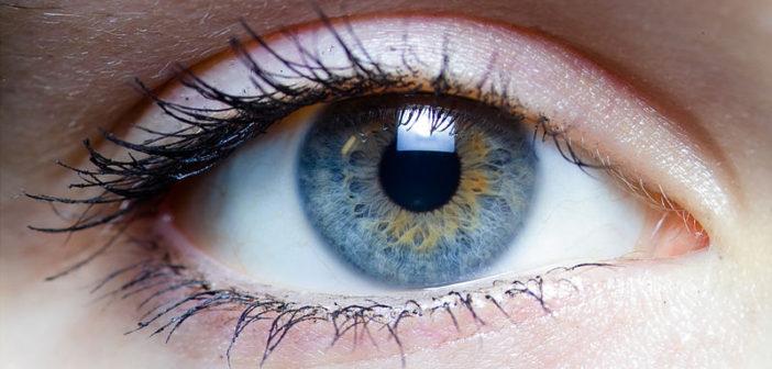 Eye