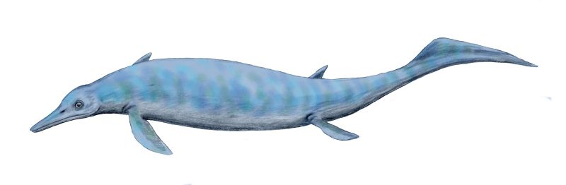 Chaohusaurus