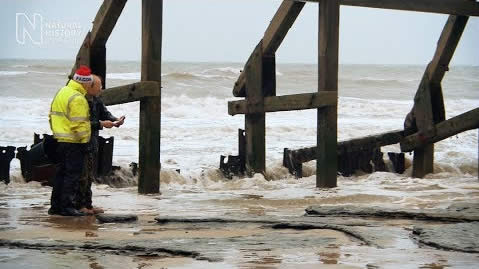 Early human footprints found in Norfolk