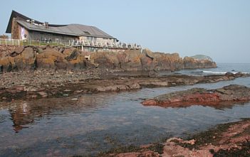 Scottish Seabird Centre