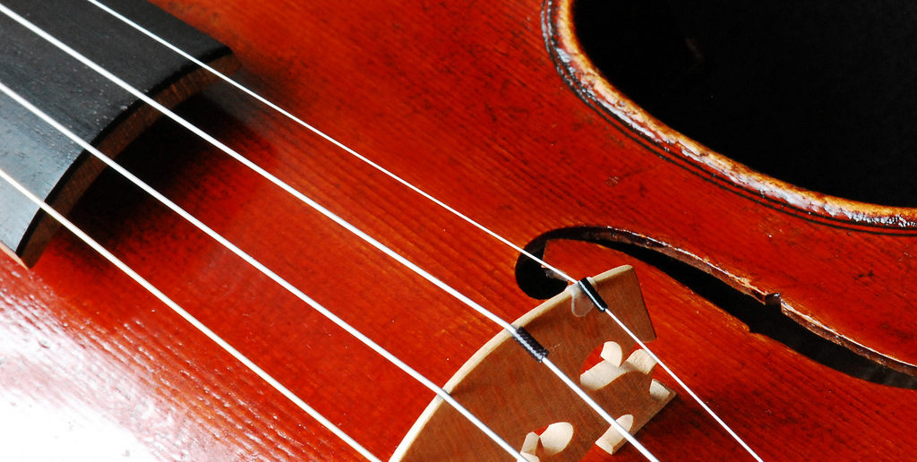 Violin