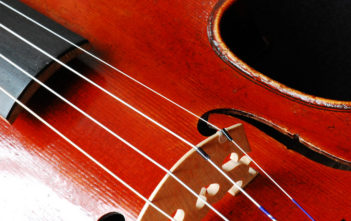 Violin