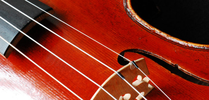 Violin