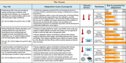 Key climate risks for the world’s oceans