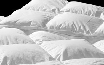 Duvet