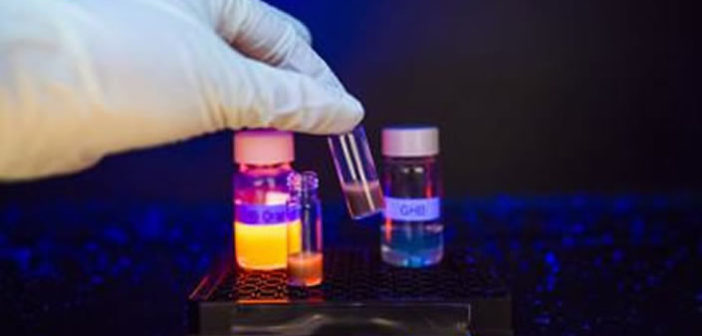 Fluorescent GHB sensor