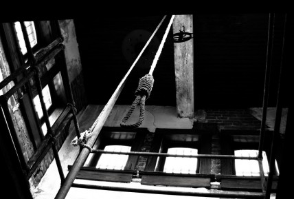 Noose