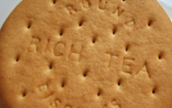 Rich Tea biscuit