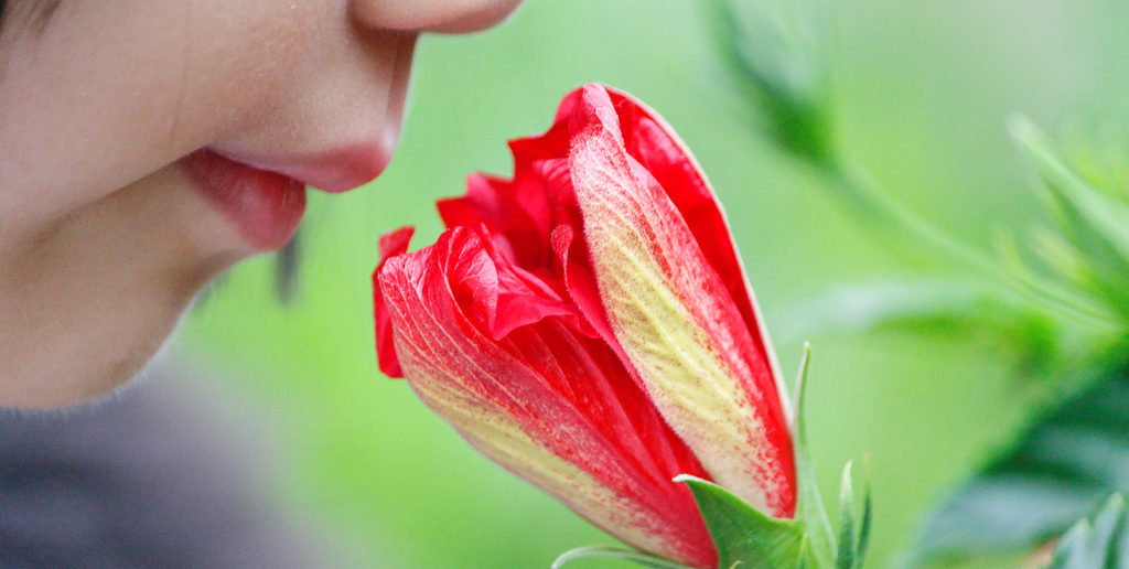 Smell