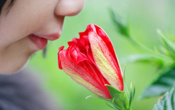 Smell