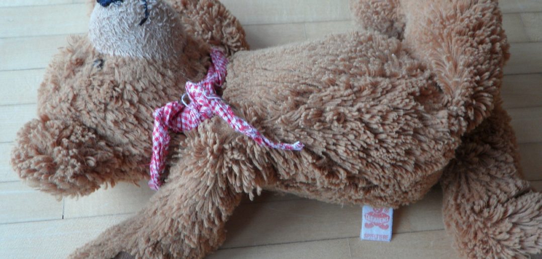 Teddybear