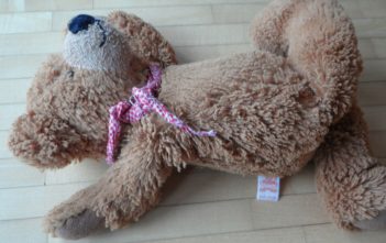 Teddybear