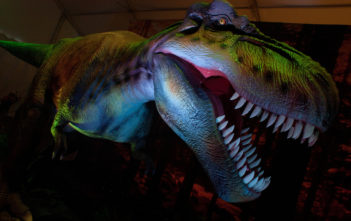 Tyrannosaurus Rex