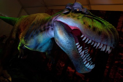 Tyrannosaurus Rex