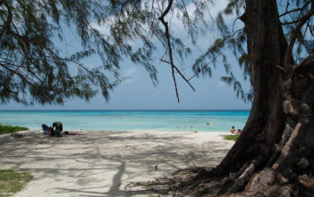 Beach in Barbados