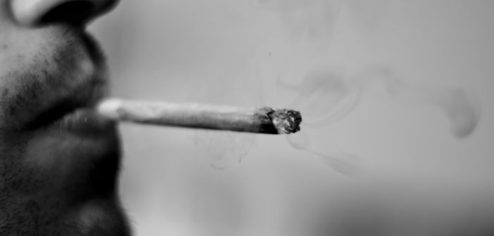 Cannabis