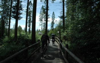 Center Parcs