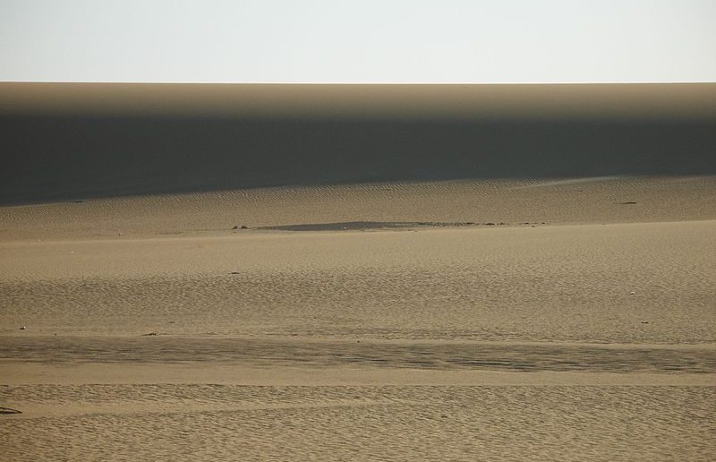 Desert
