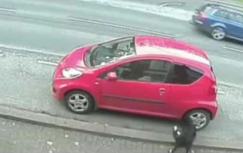 Dog vandal caught on CCTV