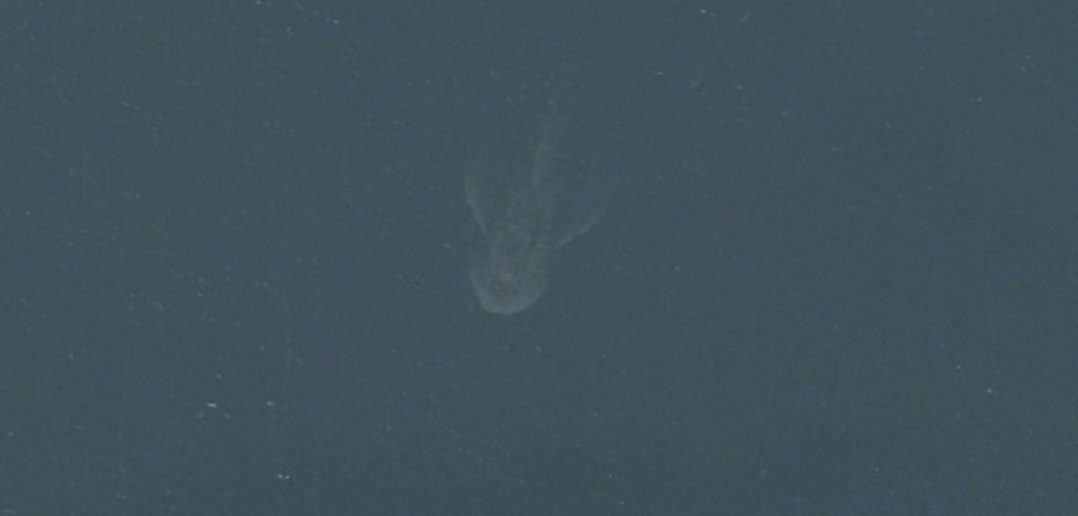 Loch Ness Monster spotted on Apple Maps