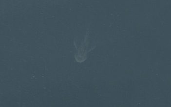 Loch Ness Monster spotted on Apple Maps