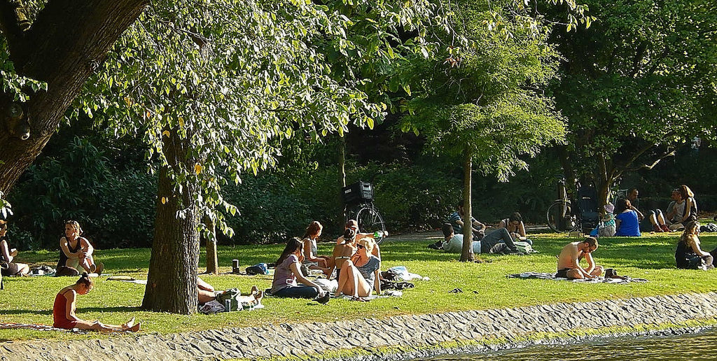 Sunbathing in the park