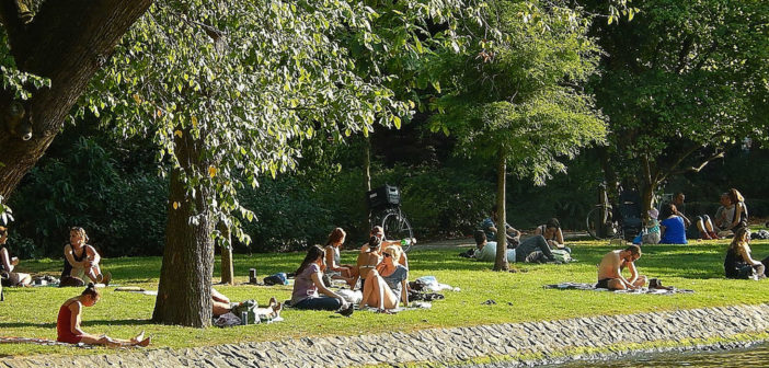 Sunbathing in the park