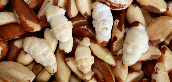 Brazil nut footballers