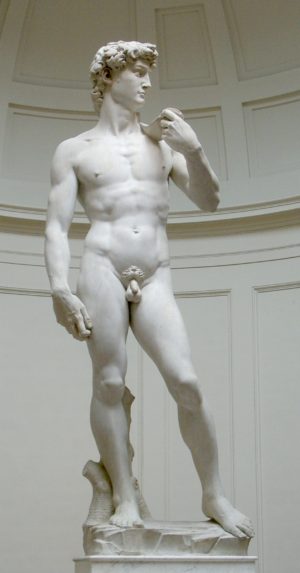 Michelangelo's David