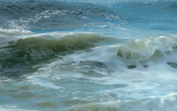 Ocean