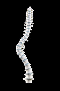 3D model of Richard III's spine