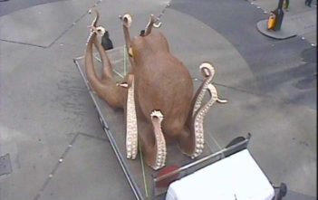 Betfair octopus cuses traffic chaos in London