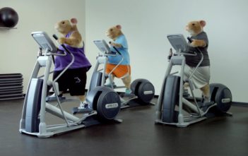 Kia dancing hamster advert