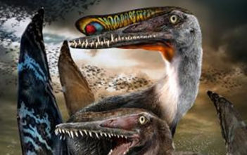 Pterosaurs