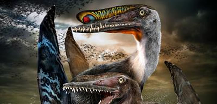 Pterosaurs