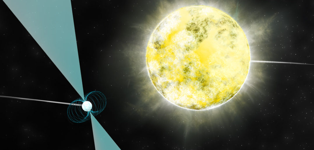 White dwarf and pulsar SR J2222-0137