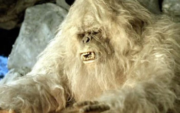 Yeti