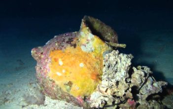 Phoenician shipwreck discovered off Malta