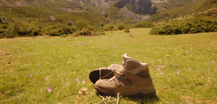 Walking boots