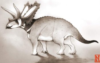 Pentaceratops aquilonius