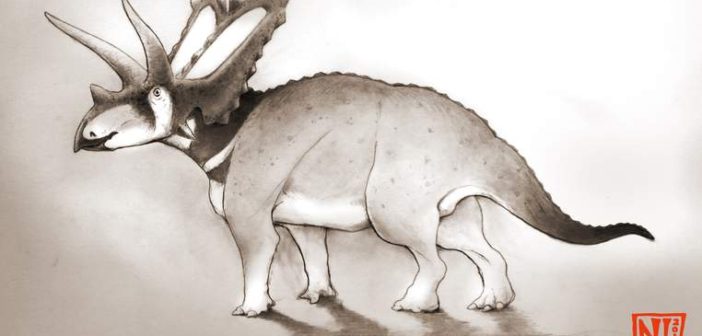 Pentaceratops aquilonius