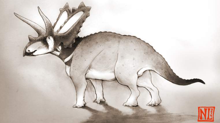 Pentaceratops aquilonius