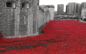 Poppies at the Tower of London